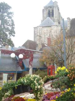 DSC09245.JPG